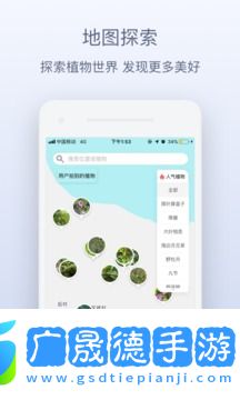花伴侶