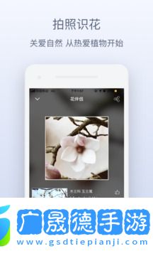 花伴侶