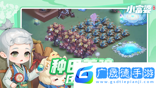 小富婆菜譜大全一覽