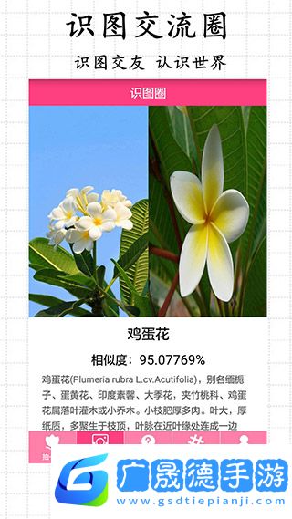 求知拍照識物