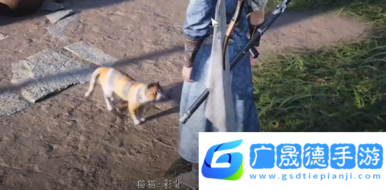 燕云十六聲七閥坡貓咪在哪