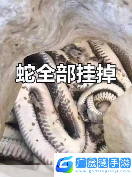 被一條蛇做到崩潰