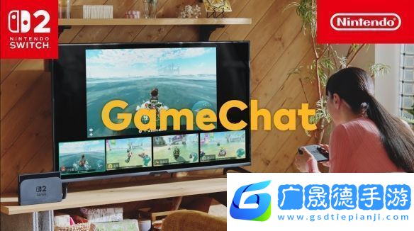 Switch2官方版攝像頭1080p！第三方食人花版僅480p