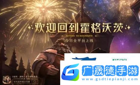 哈利波特魔法覺醒針對龍蛋流怎么配