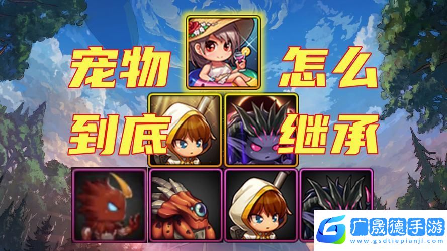 DNF寵物系統深度解析