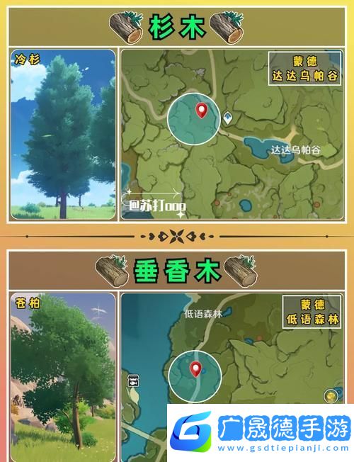 原神杉木采集點全攻略