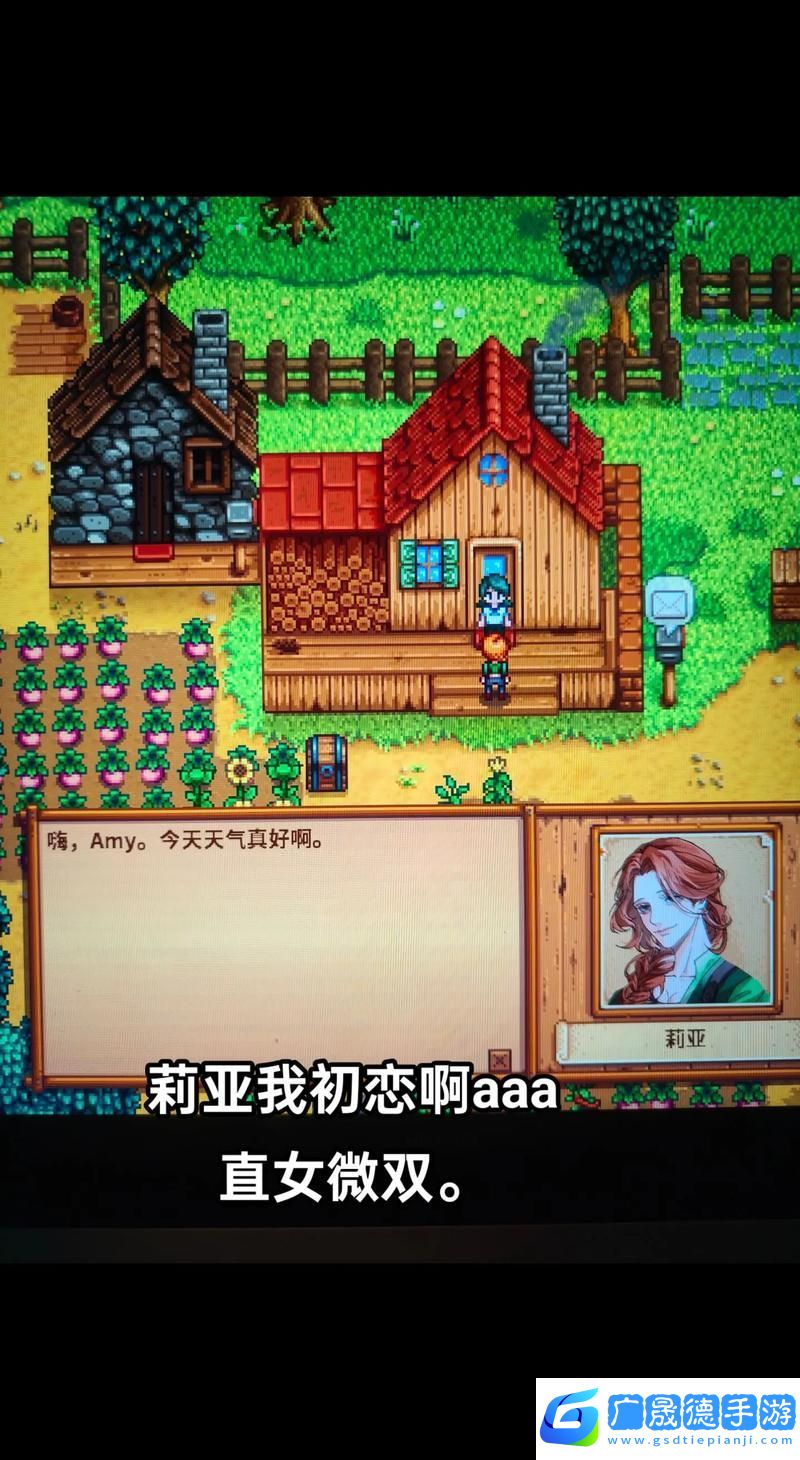 星露谷物語浪漫揭秘