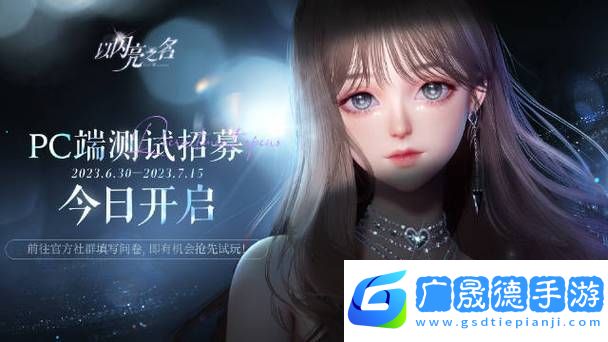 以閃亮之名PC版