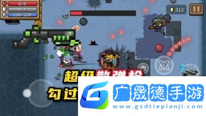 元?dú)怛T士國王的新槍