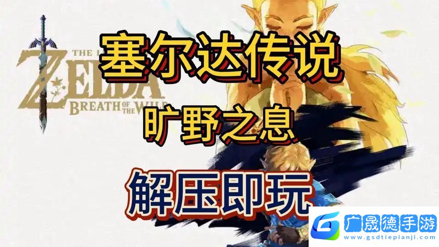 百萬塞爾達迷思