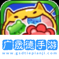 動物配對