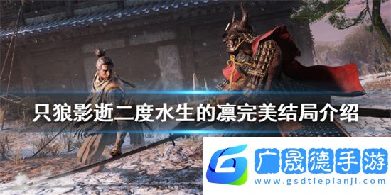 只狼影逝二度水生的凜完美結局是什么 只狼水生的凜完美結局介紹分享