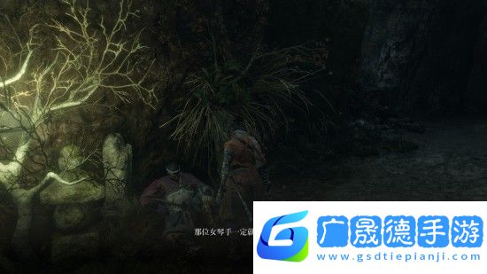 只狼水生的凜支線任務怎么完成 只狼水生的凜任務完成方法