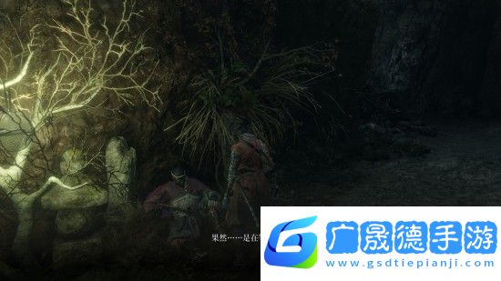 只狼水生的凜支線任務怎么完成 只狼水生的凜任務完成方法