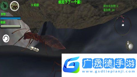 奇妙動物世界探險