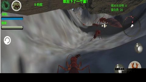 奇妙動物世界探險