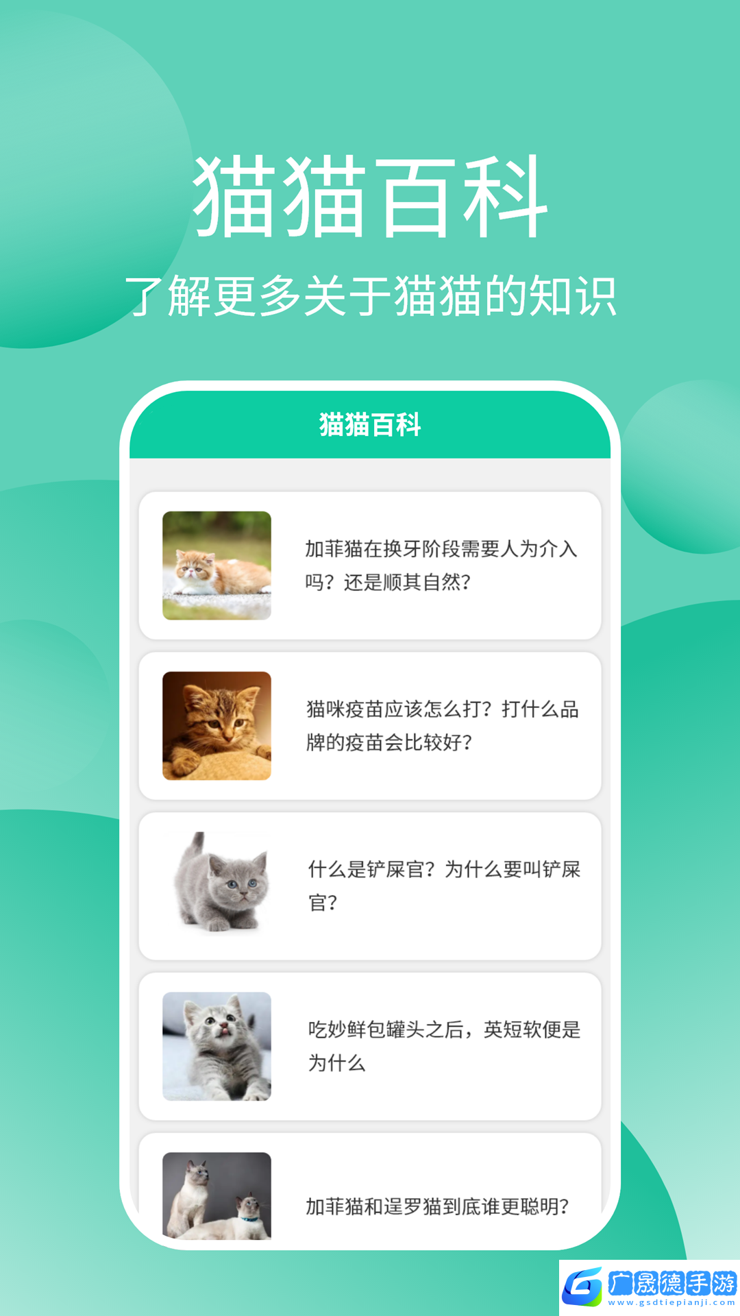 貓貓交流器