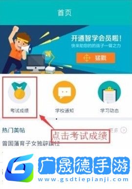 智學網怎么查看年級排名教程