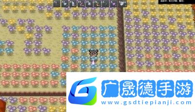 Pokemmo2023萬圣節神奧全鬼火位置